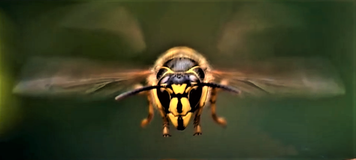 achtung ich komme (2).png