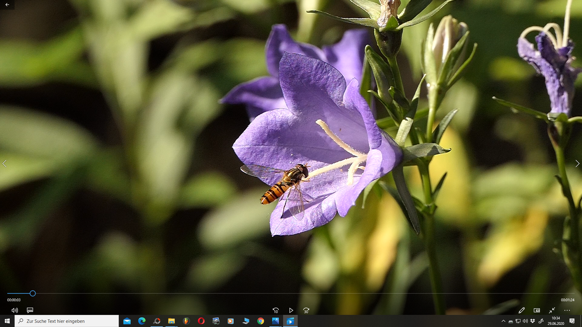 Screenshot (1074).png