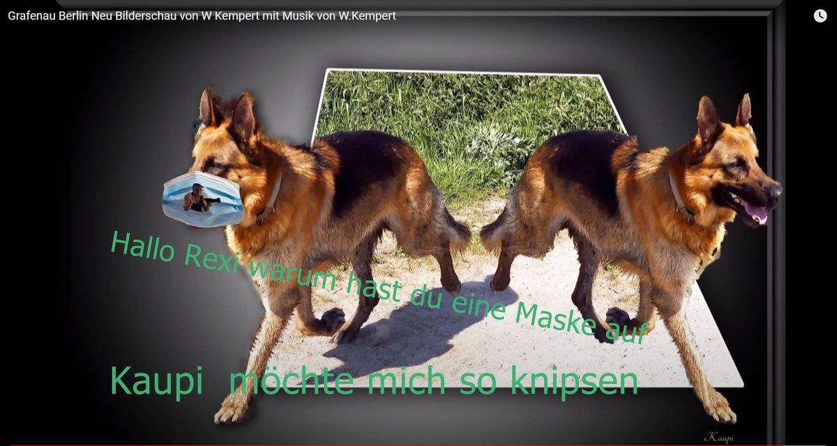 Hallo-Rexi-warum-hast-du-eine-Maske-auf.Kaupi  möchte mich so knipsen - Kopie.jpg