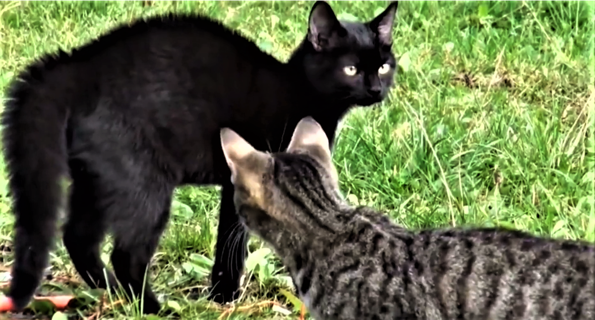 nun kannst du aber die Kamera ausmachen.png