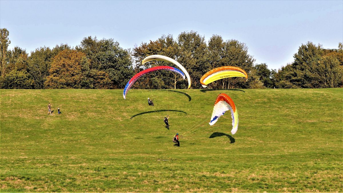 P2540078-(4)hier wird geübt für den großen Abflug in den Bergen am Müllberg Berlin Lübars (4).jpg