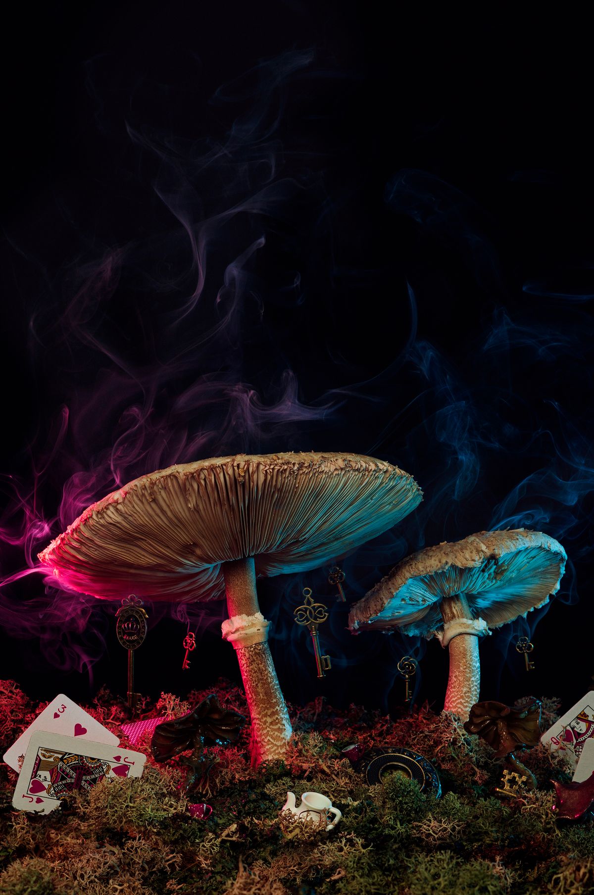 What was your favorite childhood book? Mine definitely wasn't "Alice's Adventures in Wonderland". In my imagination I preferred to travel among the stars, fight space pirates, saving princesses and discovering new planets, but sometimes I had to come back to Earth, which was very boring and then along came Alice to show me one more doorway to escape from the reality. And that's why on the day I found 2 giant mushrooms in the forest, I decided to go back into my childhood, into Wonderland and recreate the feeling that everything is possible and the doorway in my own Wonderland is still open. I used stabalized moss, some mushrooms I made from polymer clay to make this photo. All the special effects are real and they were created in realtime using black wire and aroma stick.