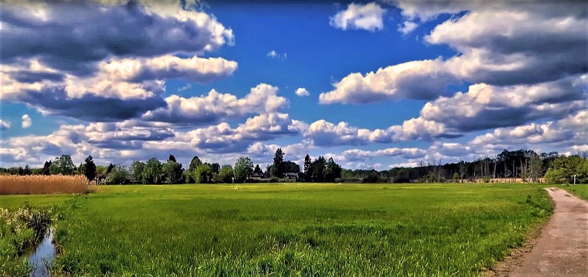 Landschaft-Gebiet-Berlin_HDR (4).JPG