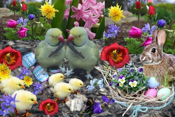 Osterkomposition mit Blumen