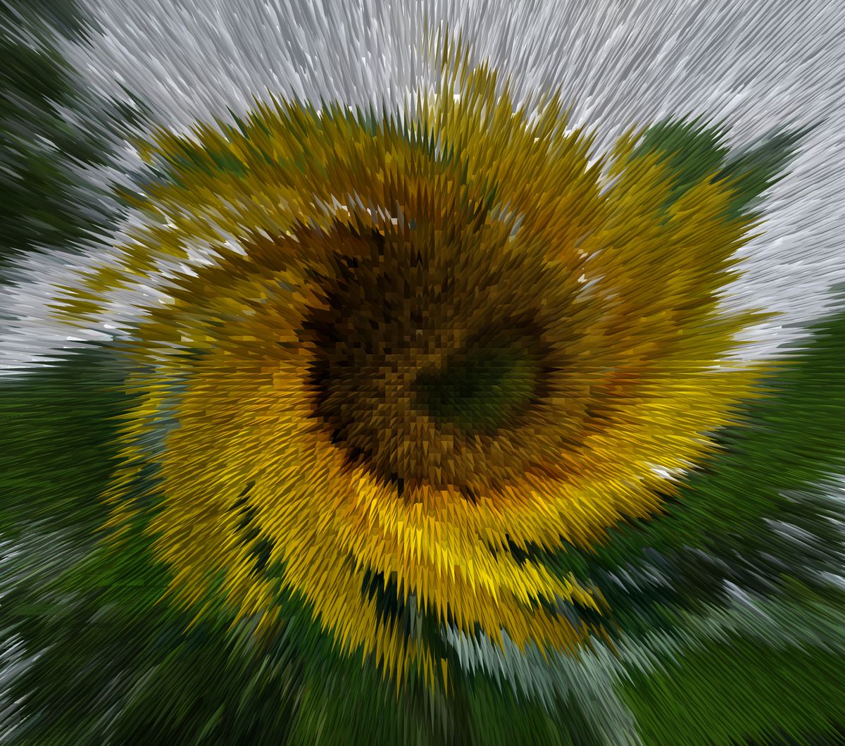 Strahlende Sonnenblume Expression