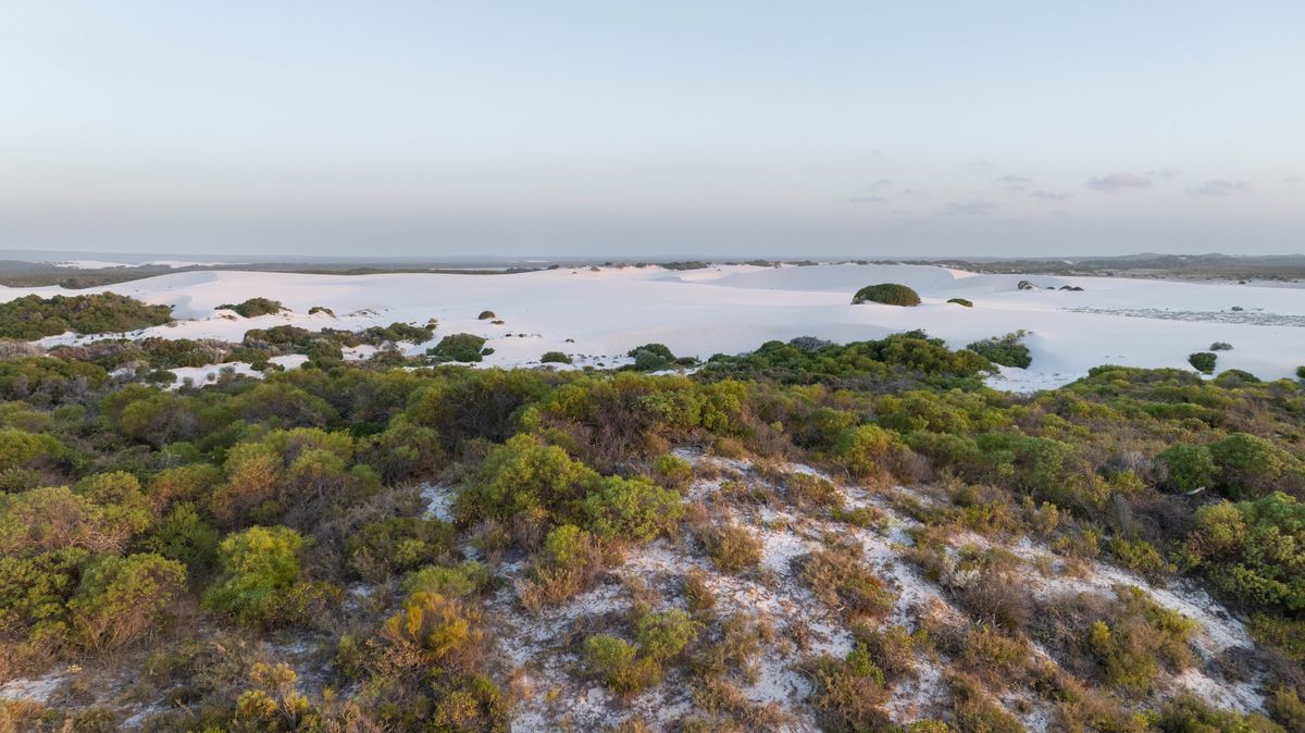 Desert Australien