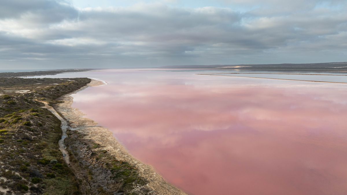 lac de sel rose