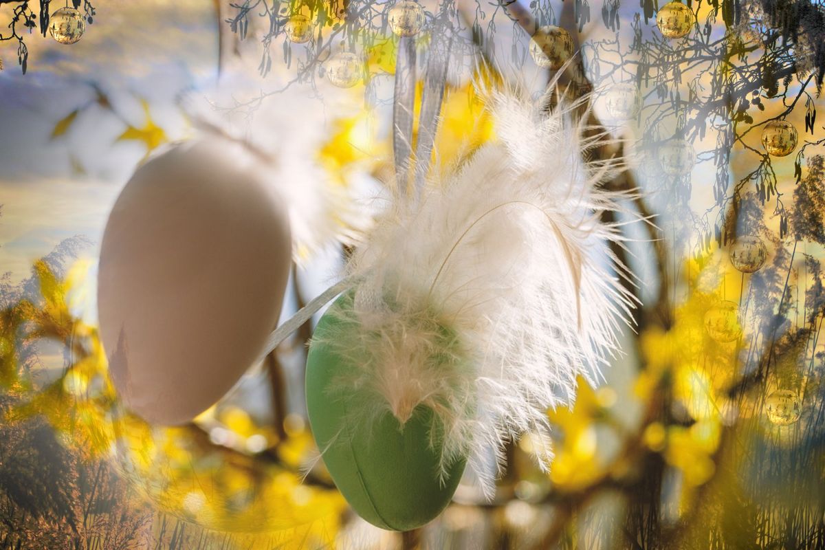 DSC03203-ok1 ostern.jpg