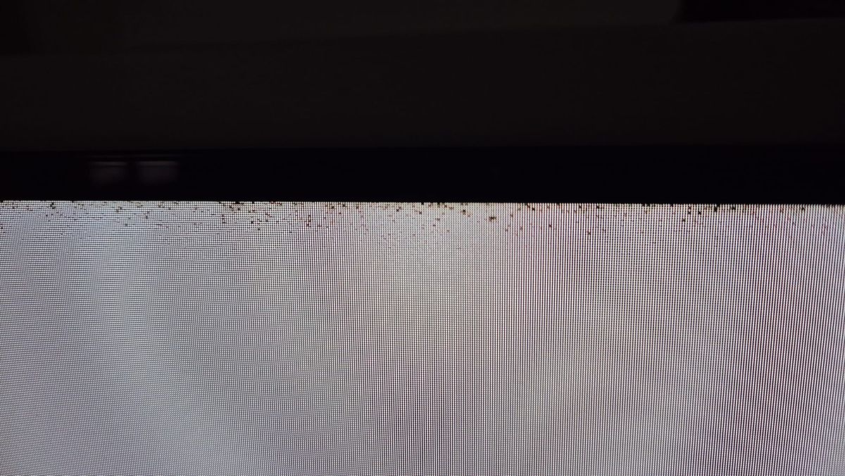 e6d5001f-304d-4aac-b191-bfeebca3bfa7.jpg e6d5001f-304d-4aac-b191-bfeebca3bfa7.jpg